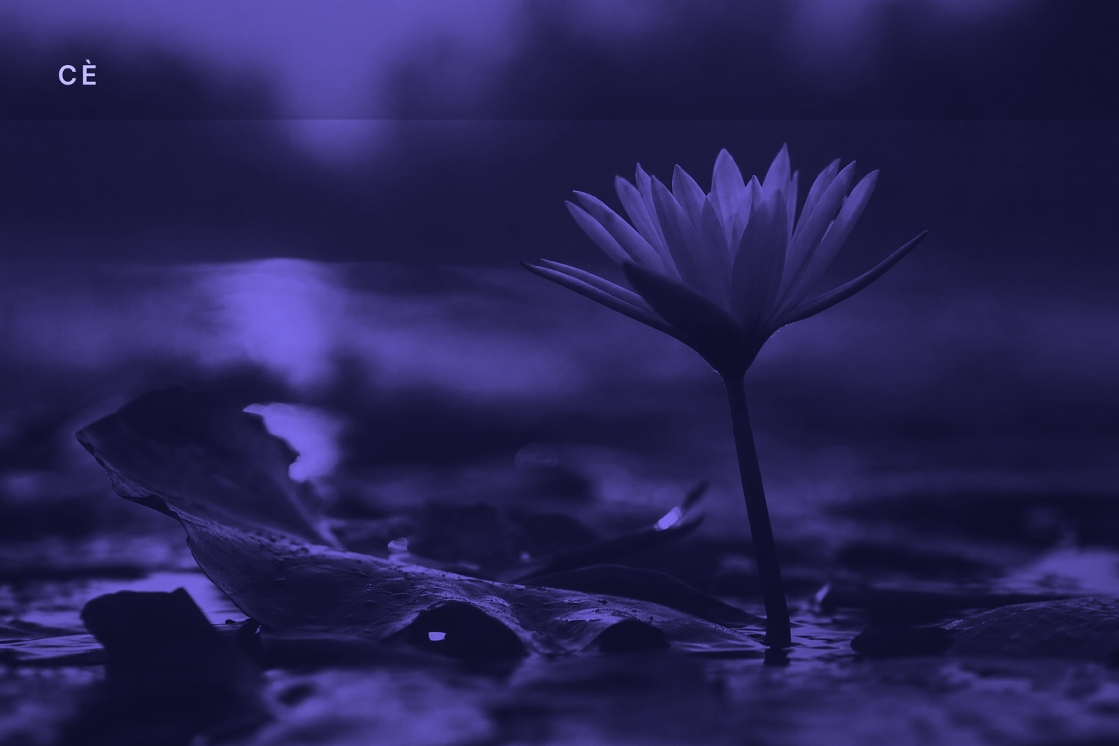 CÈ First Light — 2026-07-14