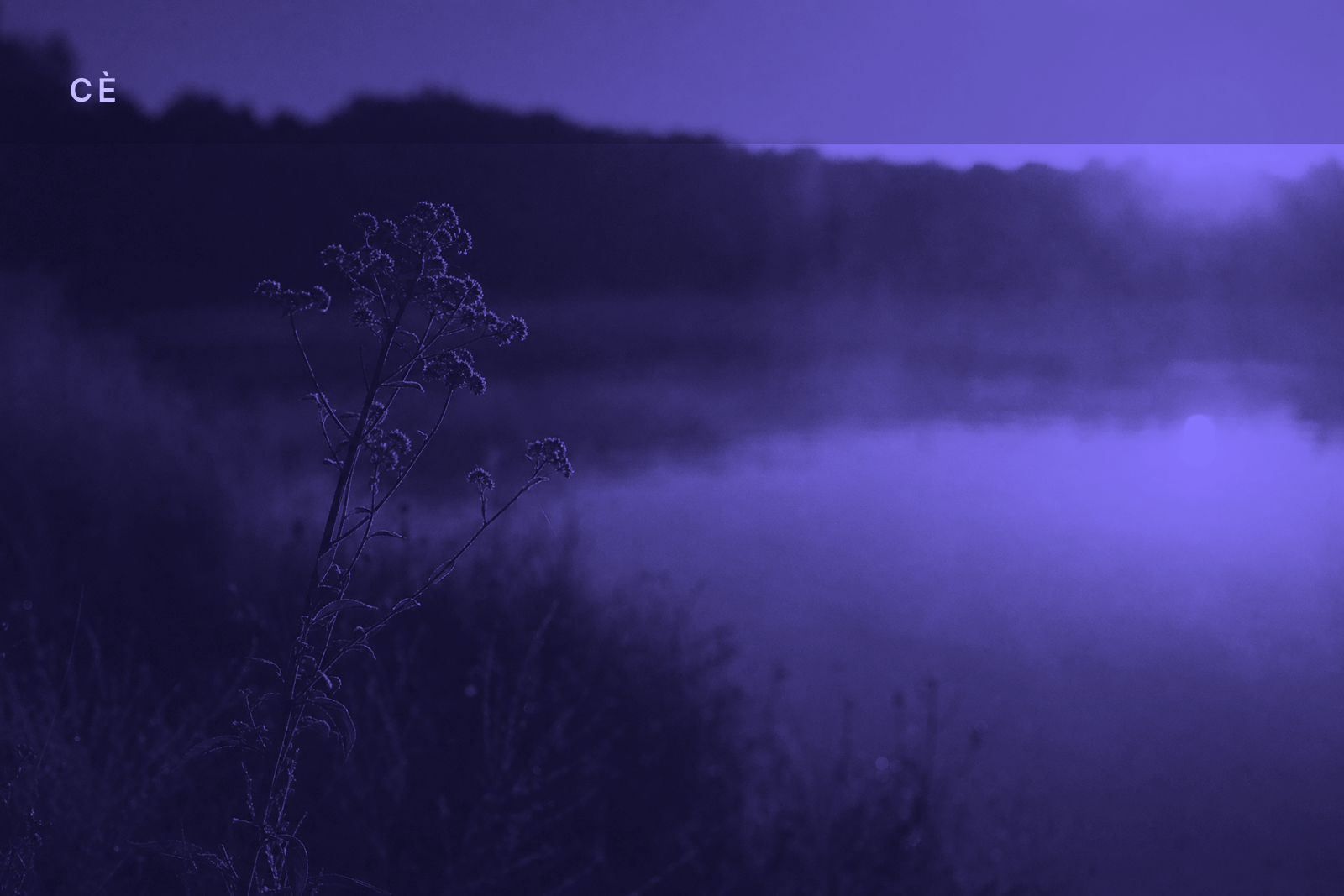 CÈ First Light — 2026-07-06
