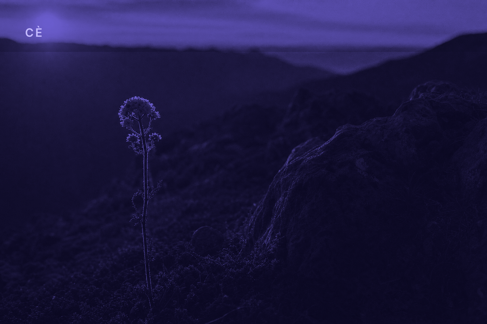 CÈ First Light — 2026-07-11