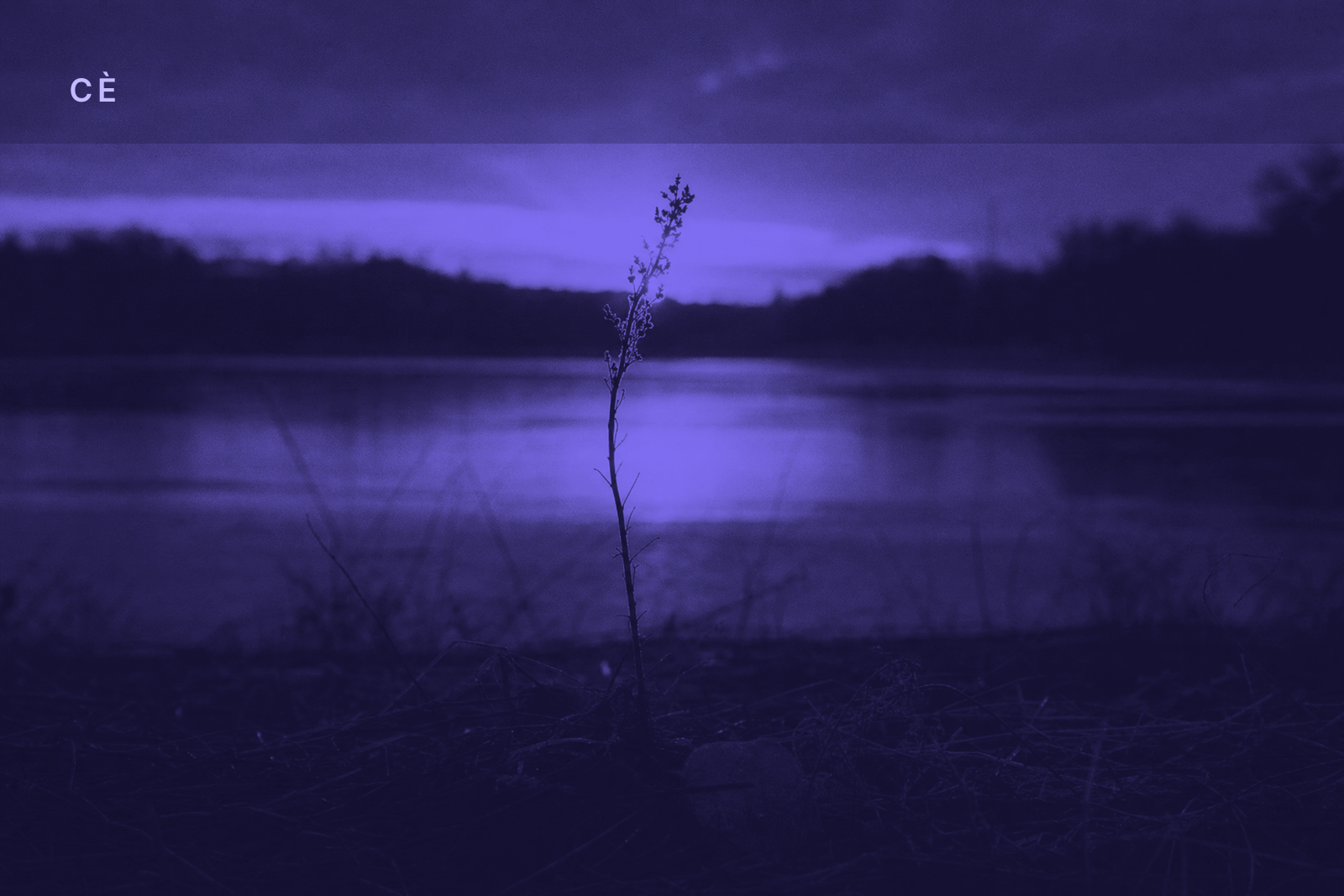 CÈ First Light — 2026-07-13