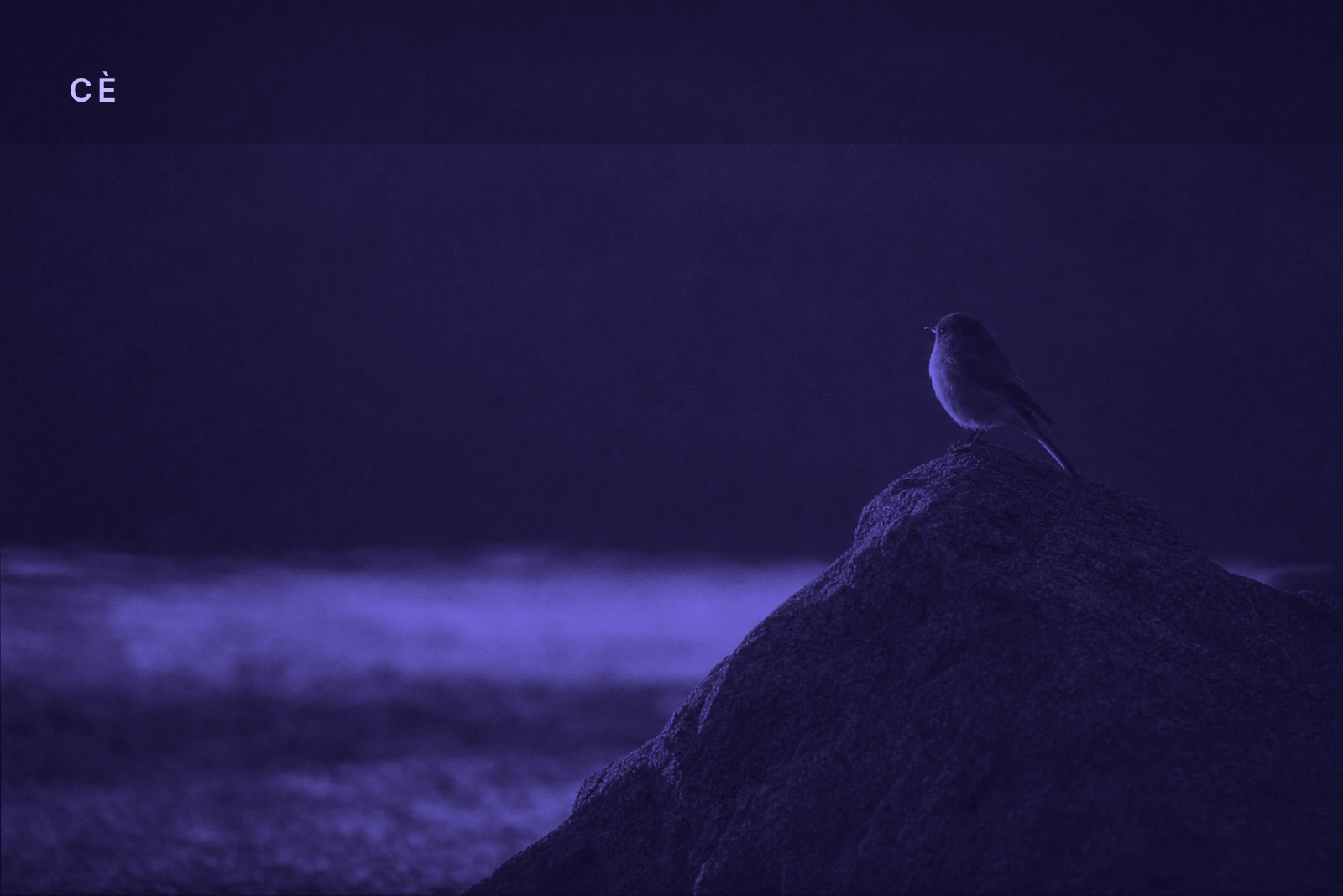 CÈ First Light — 2026-07-08