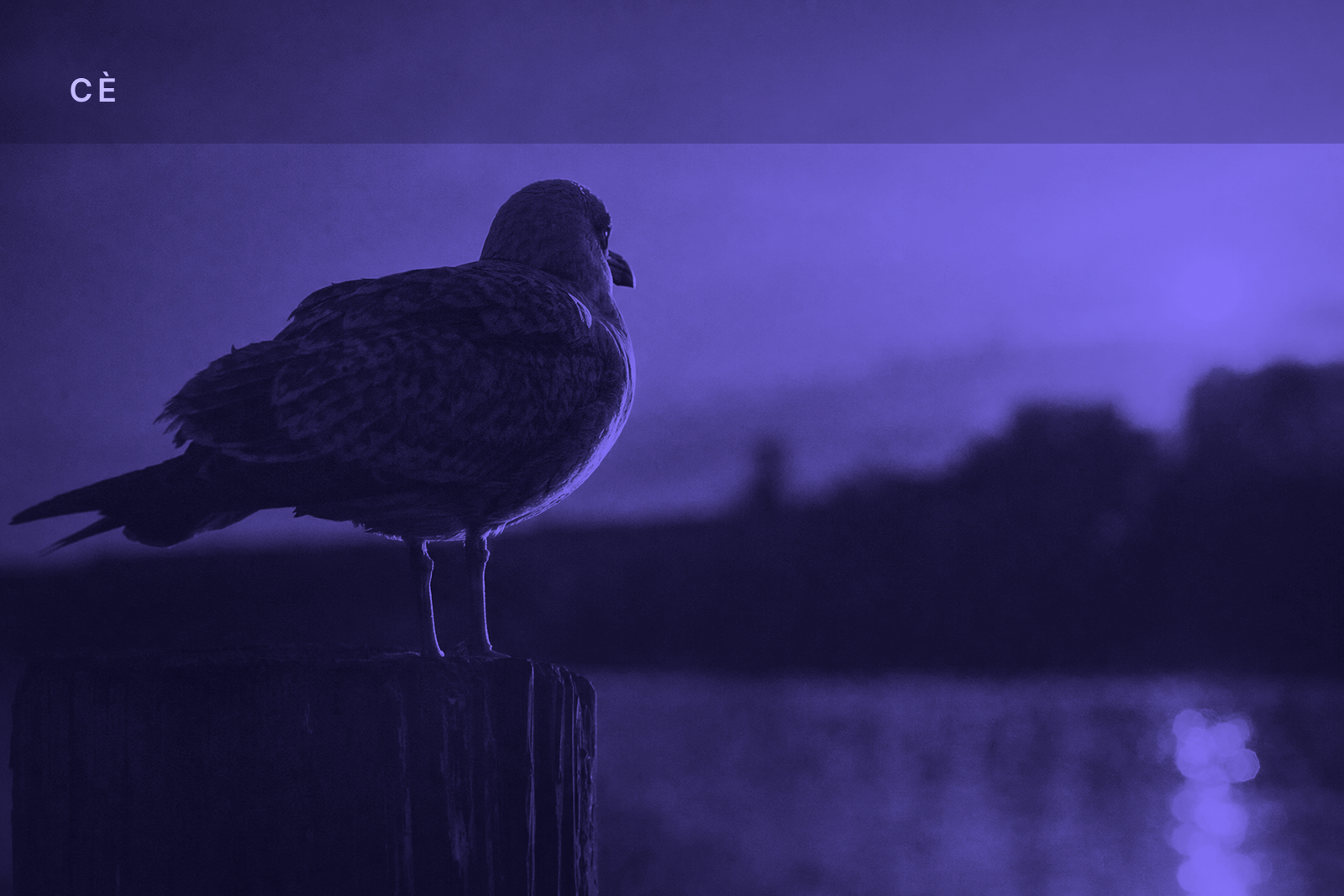 CÈ First Light — 2026-07-01
