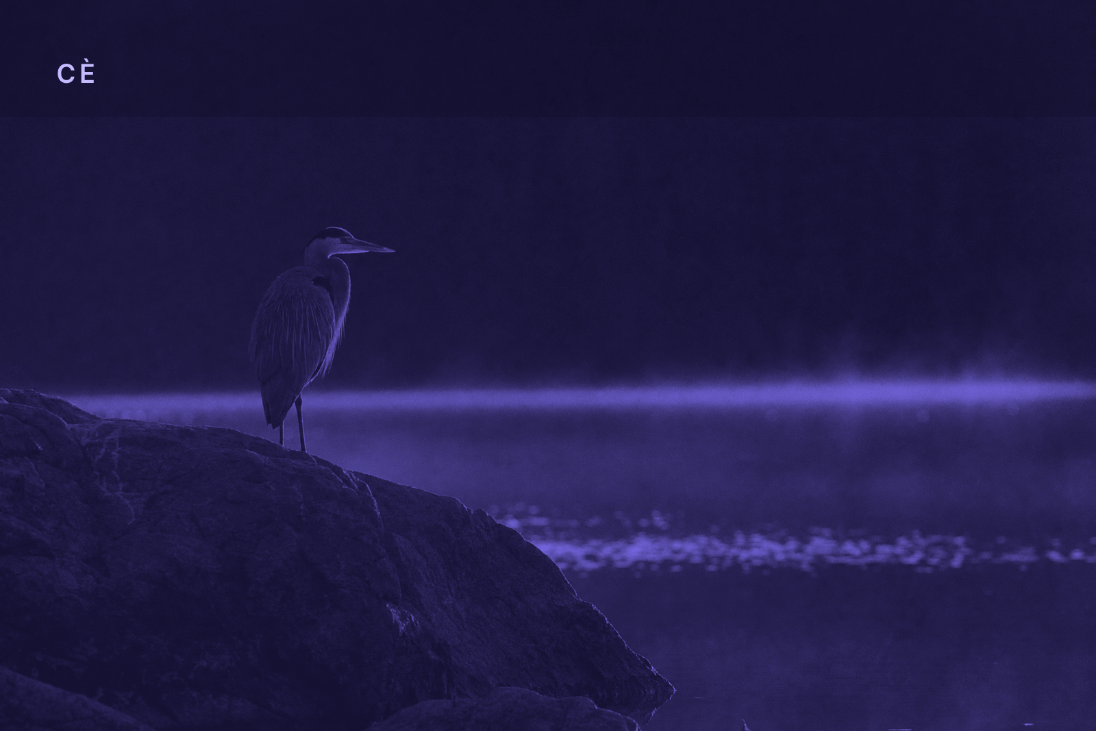 CÈ First Light — 2026-07-03