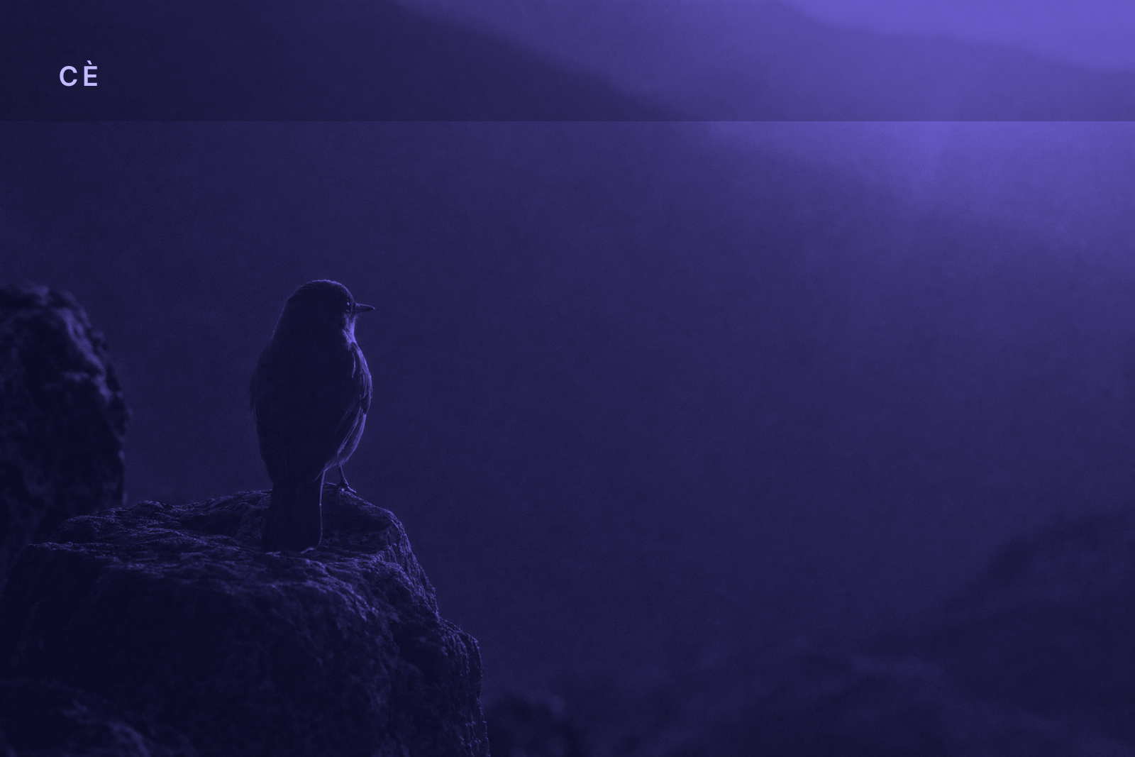 CÈ First Light — 2026-06-29