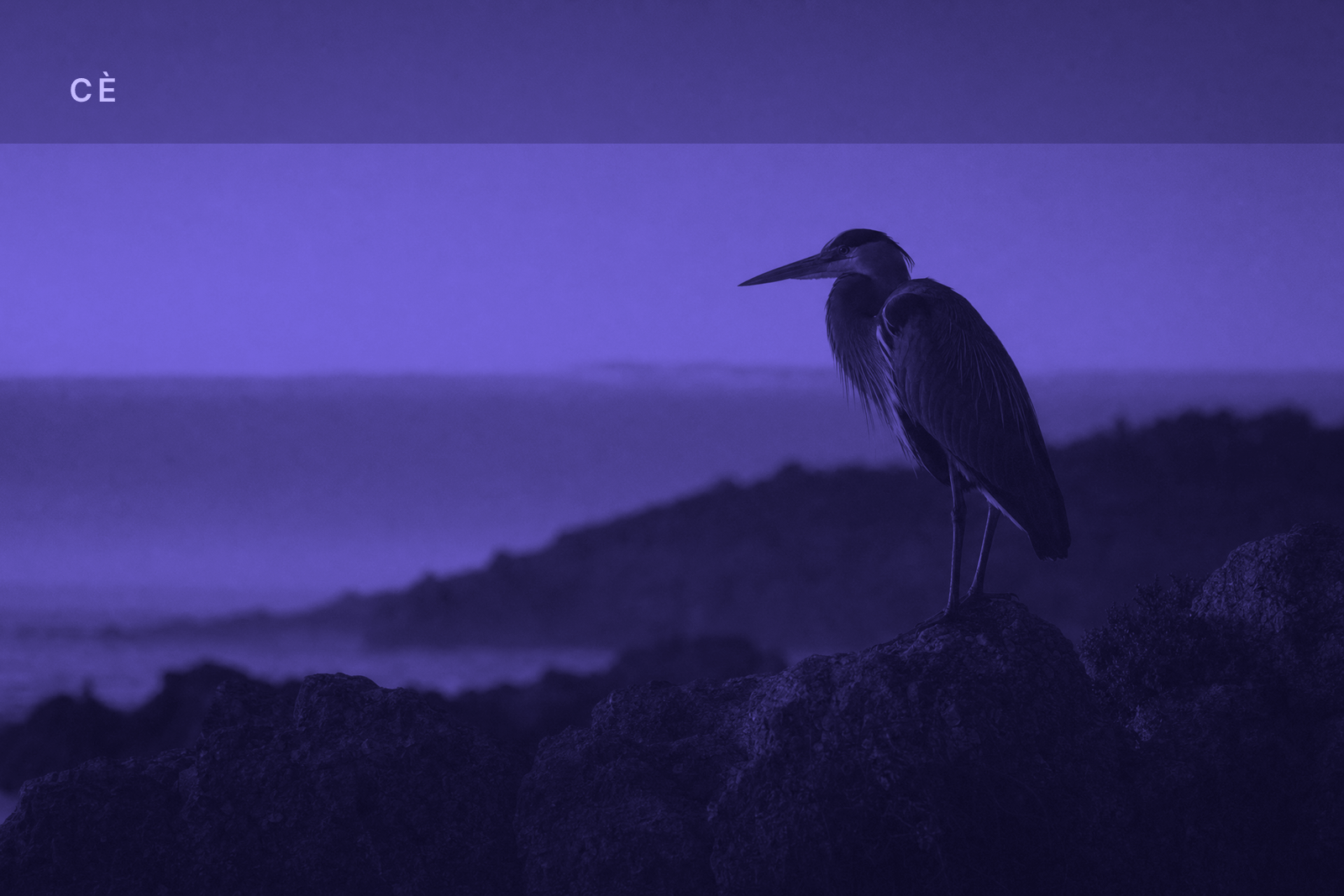 CÈ First Light — 2026-06-26