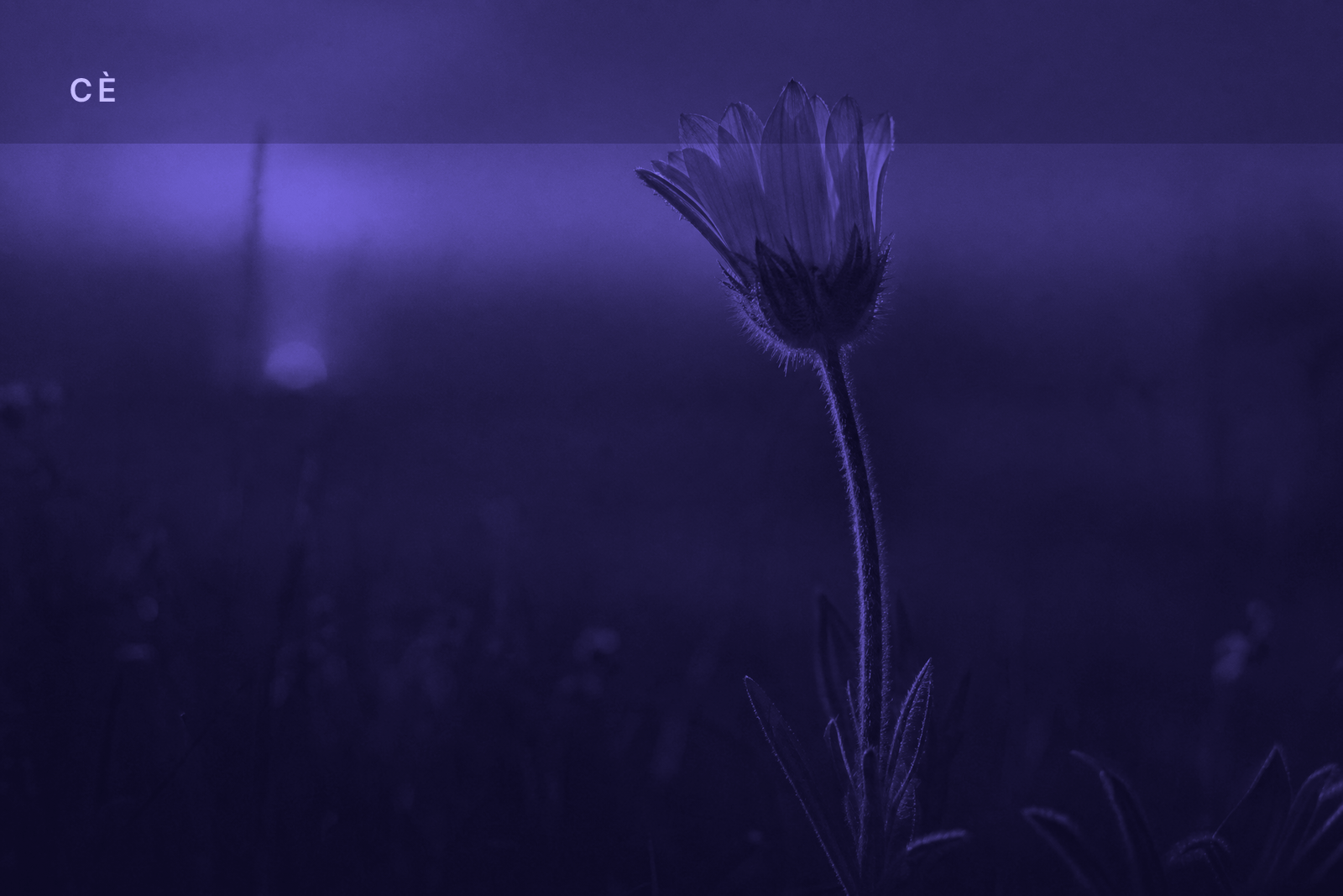 CÈ First Light — 2026-06-23